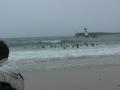 gal/Decouverte et CD Quiberon 2006/_thb_P1110210.JPG